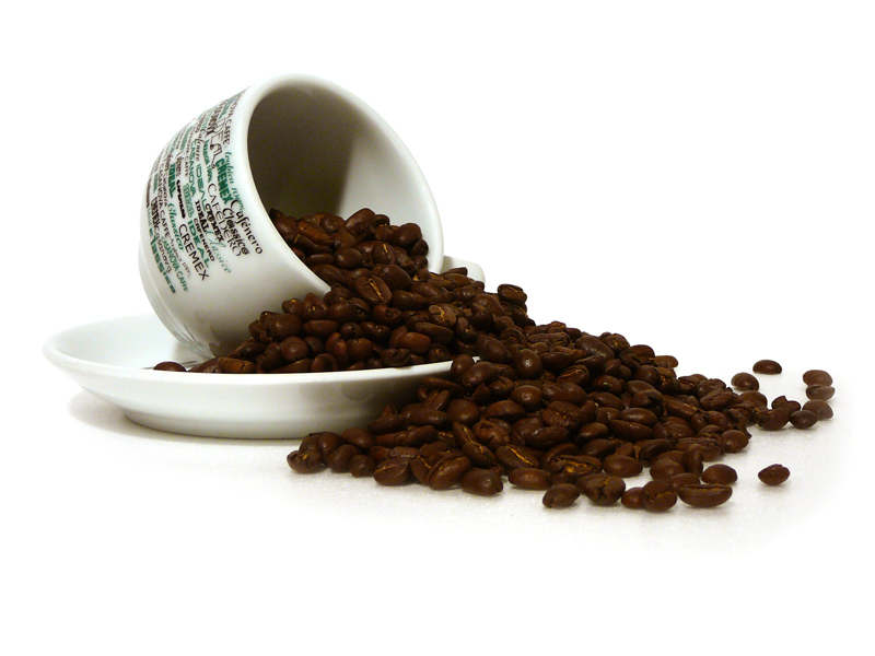 pianta caffè